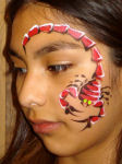 AmaDazzle Arts Basic Face Painting