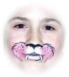 Face Painting Pink Cat