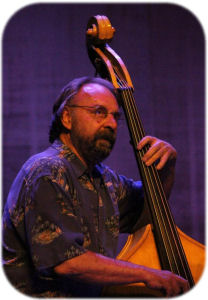 Bassist in Amarillo