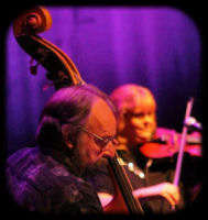 Party Musicians in Amarillo